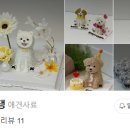 포유댕 이미지