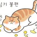 삼성수약국 이미지
