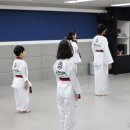 일동태권도장 네이버블로그
