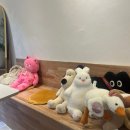 소보소보 이미지