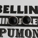 젬스토어 이미지