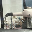 남원동물병원 | 임신일기7 / 34-35주 임산부 일상(산후도우미 신청하기, 식단 및 체중증가 기록 등)