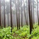 바다케이블카 이미지