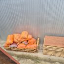 라온태양광발전소 이미지