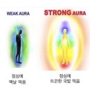 세실곰탕 이미지