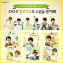 130105 더페이스샵 EXO-K 망고카드 이미지