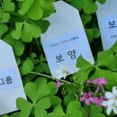 헬스라이프 팜