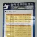 월곡배드민턴체육관 | 내돈내산 월곡 배드민턴 강습 프로그램 후기