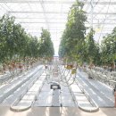 예천군농업기술센터 이미지