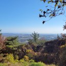 계림육계영농조합법인 이미지