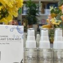 디오메딕스 이미지