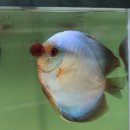 워터월드코리아 이미지