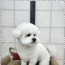 오늘도, 예쁘개 이미지