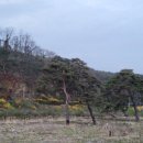 물미 농장 이미지