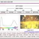 생활원예(2) 이미지