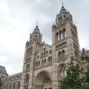 애프터눈가든 이미지