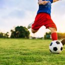 남원생활체육관 주경기장 이미지