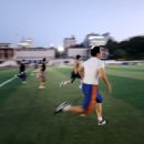 더마르한 이미지