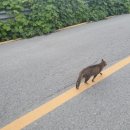 예림농장 이미지