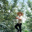 박용주농장 이미지