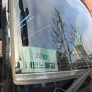 노을길 | 알레버스 태안 해변길 5코스 노을길 + 태안튤립꽃박람회 트레킹 후기