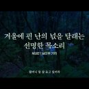 제주4.3영화 ＜한란＞ 함께 보고 싶습니다. 이미지