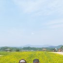 마장공원 이미지