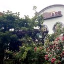 해여림유치원 이미지