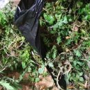 한마루농장 이미지