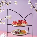 파크하얏트 부산 이미지