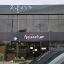 괴물가오리 | 김포 양촌 수족관 "괴물수족관" 방문 후기