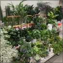 진선미농장 이미지