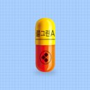 콜그린 - 속초시 중앙시장로 3 | 콜그린