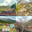 경남 하동 가볼만한 곳 애견동반가능 삼성궁 입장료 주차 소요시간
