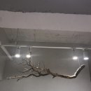구의동 필라테스 <노경우필라테스>에서 운동 후기
