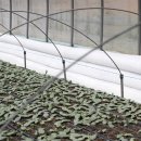 여주-0422 이미지