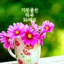 행복한오늘