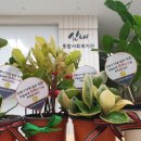 산내종합사회복지관 이미지