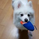 창현동물병원 이미지