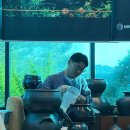 금산홍삼마을 - 금산군 태실길 15 | 엄마랑 국내 당일치기 여행 ‘금산 시나브로 치유길’ / 버스 여행 추천! (전통주 여행 / 혼자국내여행)