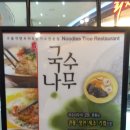 펜타포트국수나무