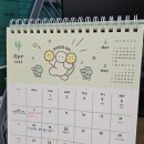 봄, 꽃, 비, 살