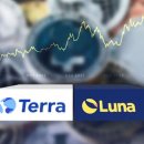 테라커머스 이미지