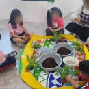 푸른나무어린이집 이미지