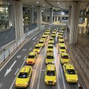 정관장 상봉점 | [중국 충칭/청두] 아시아나 OZ0353 (인천-충칭) 직행 후기