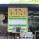 비둘기 펜션 이미지