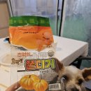 도드람엘피씨 주1동 | 김포양촌 김포글램핑식당 애견동반바베큐맛집 [캐빈하우스] 내돈내산 솔직후기