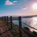 삼화365플러스의원 이미지