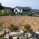 경남고성영현면신분리평촌부락지나면서 이미지