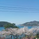 아름다운집 민박 이미지